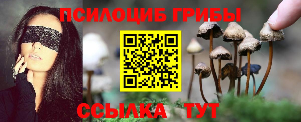 Лабытнанги  Псилоцибиновые грибы мухоморы  Вход с VPN 